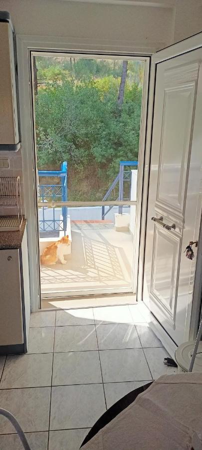 Siviri Sea & Forest-Cozy Apartment With Garden & Nature Views Buitenkant foto