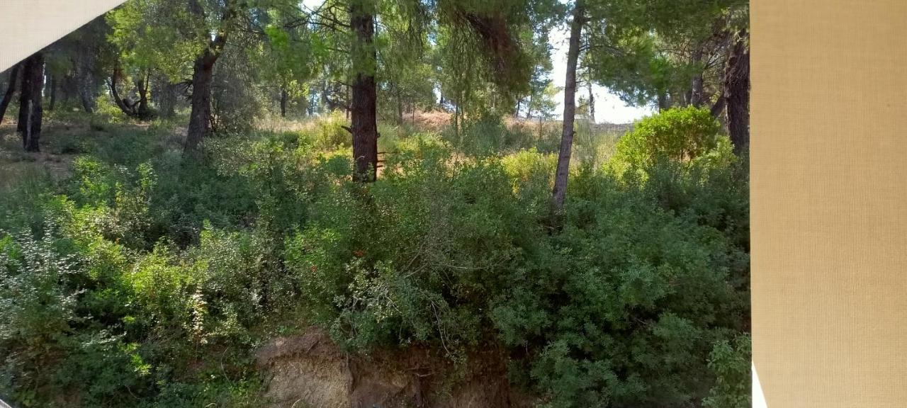 Siviri Sea & Forest-Cozy Apartment With Garden & Nature Views Buitenkant foto
